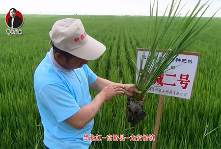 富?？h-龍安橋鎮